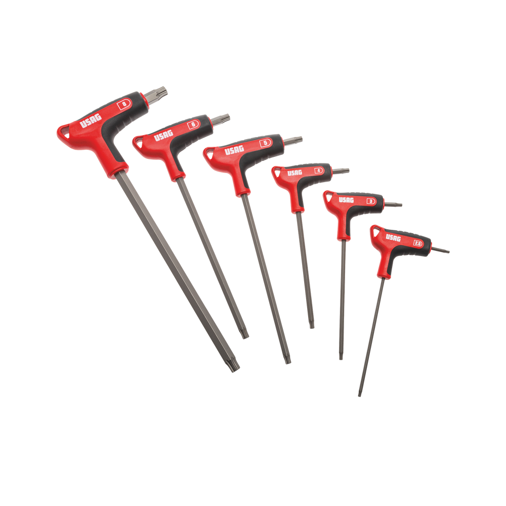 Serie di 6 chiavi maschio con profilo esagonale Usag 280 HX/SE6
